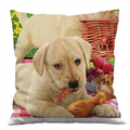 Custom Promotion Pillow