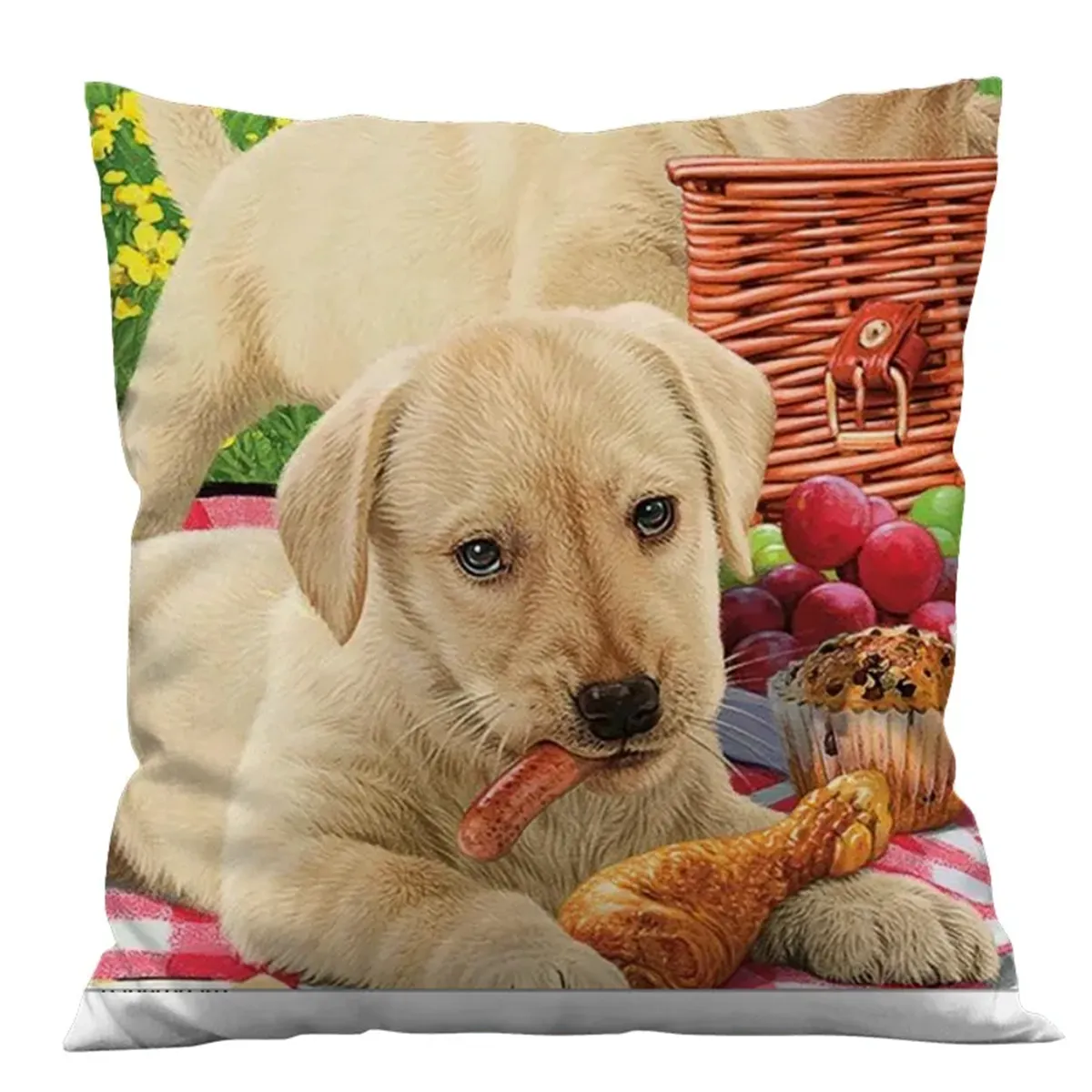 Custom Promotion Pillow