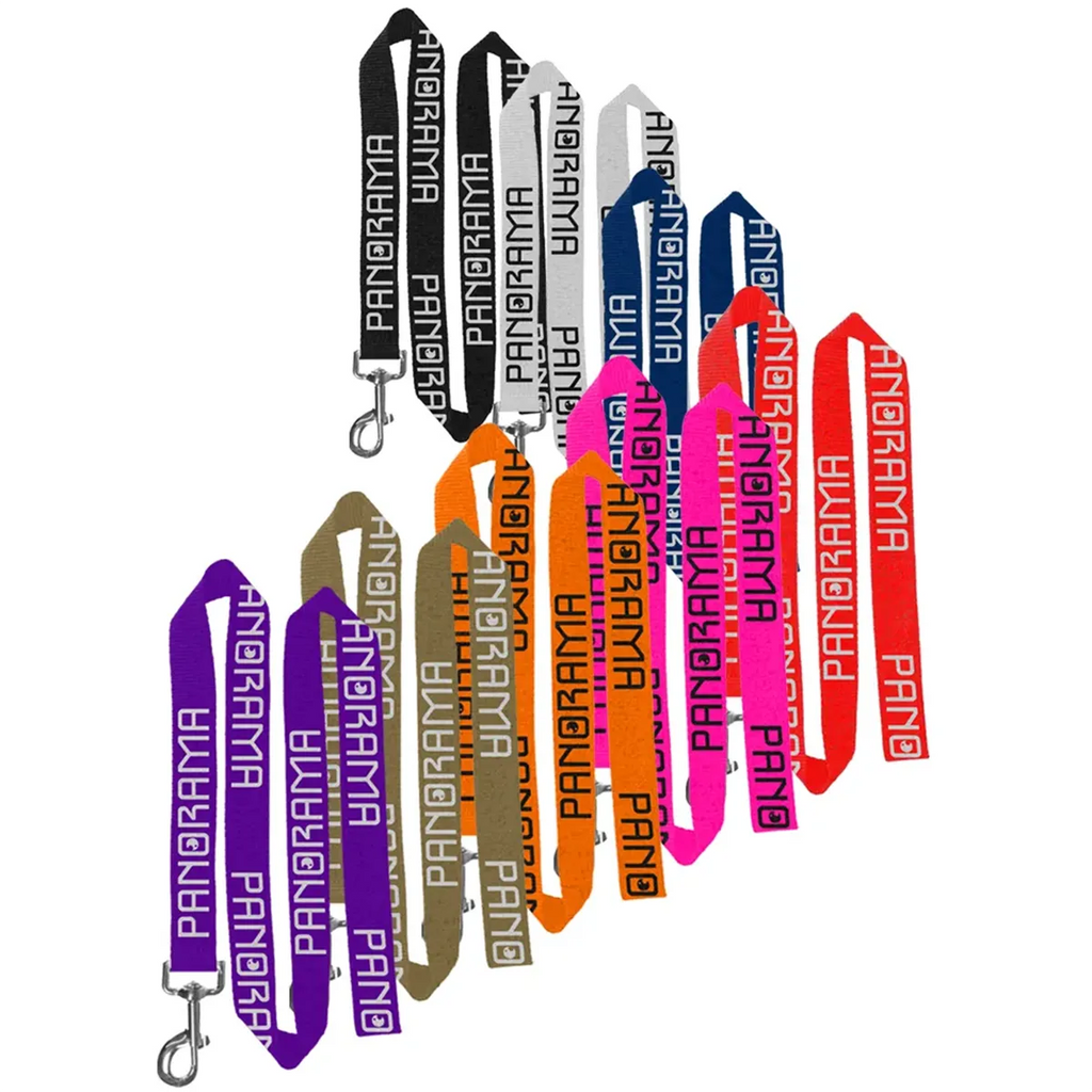 Custom Polyester Pet Leash with Metal Carabiner