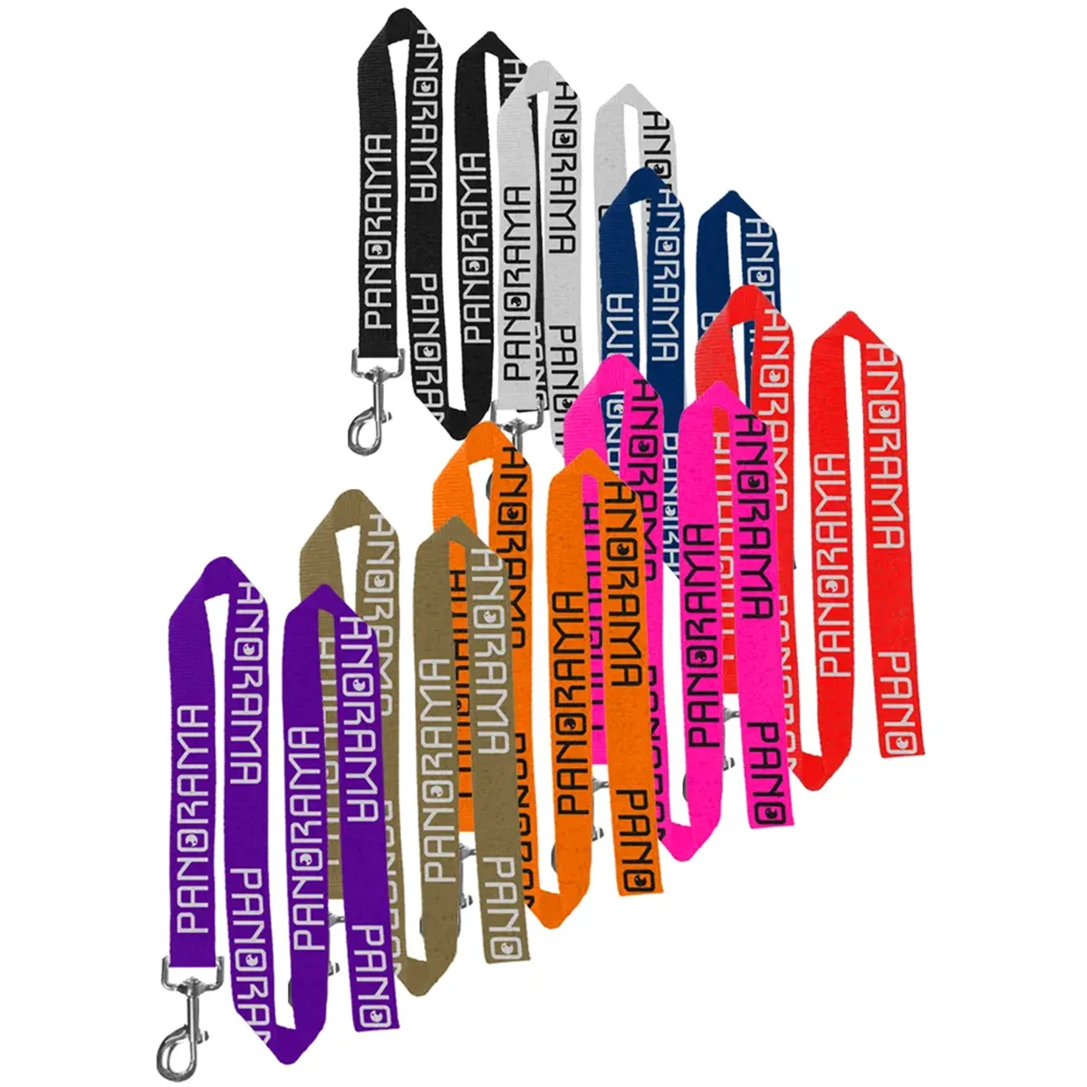Custom Polyester Pet Leash with Metal Carabiner